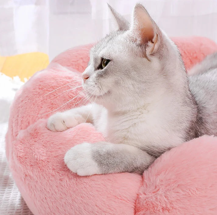 Cotton Pet Bed – Soft, Stylish, and Easy to Clean