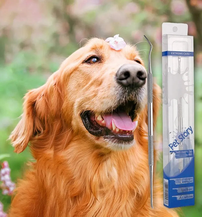 🦷 FreshBite™ Dental Pen for Pets
