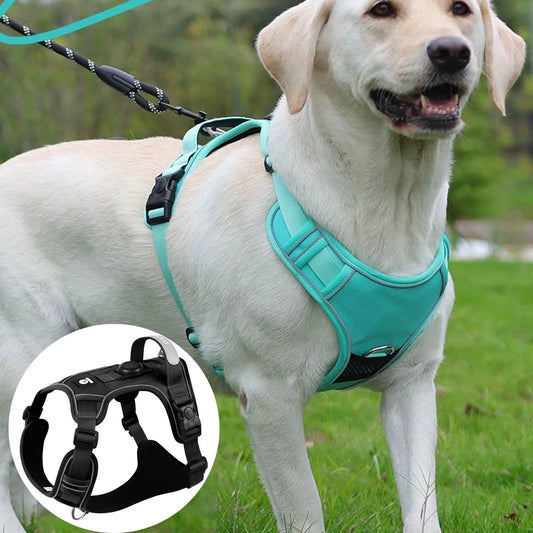 TrackGuard Harness